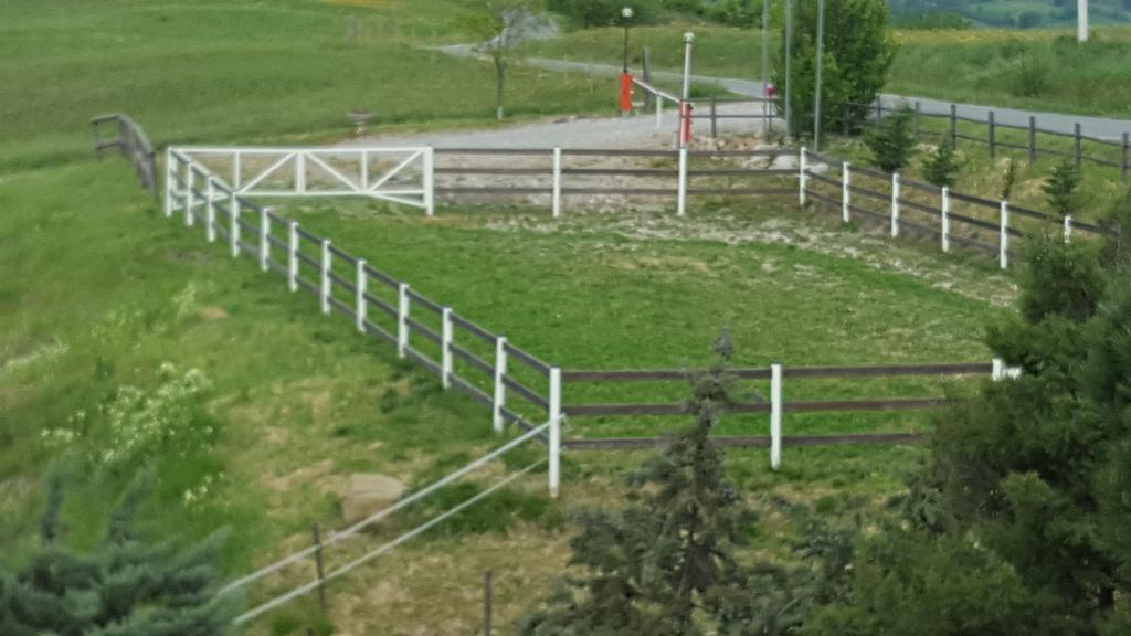 Allevamento B&B Pozzol Groppo Zewnętrze zdjęcie